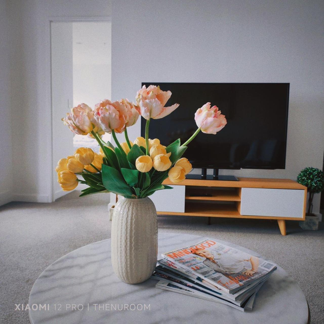 Auckland Birkenhead Bnb Extérieur photo